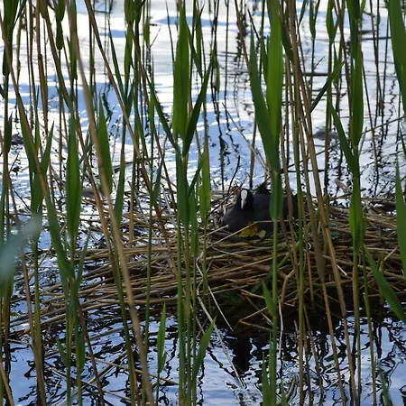 Apartman Eco Plivsko Jezero *