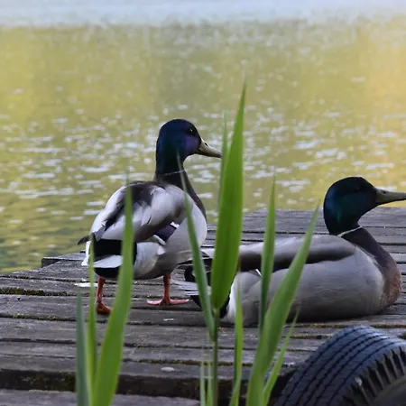 Apartman Eco Plivsko Jezero *
